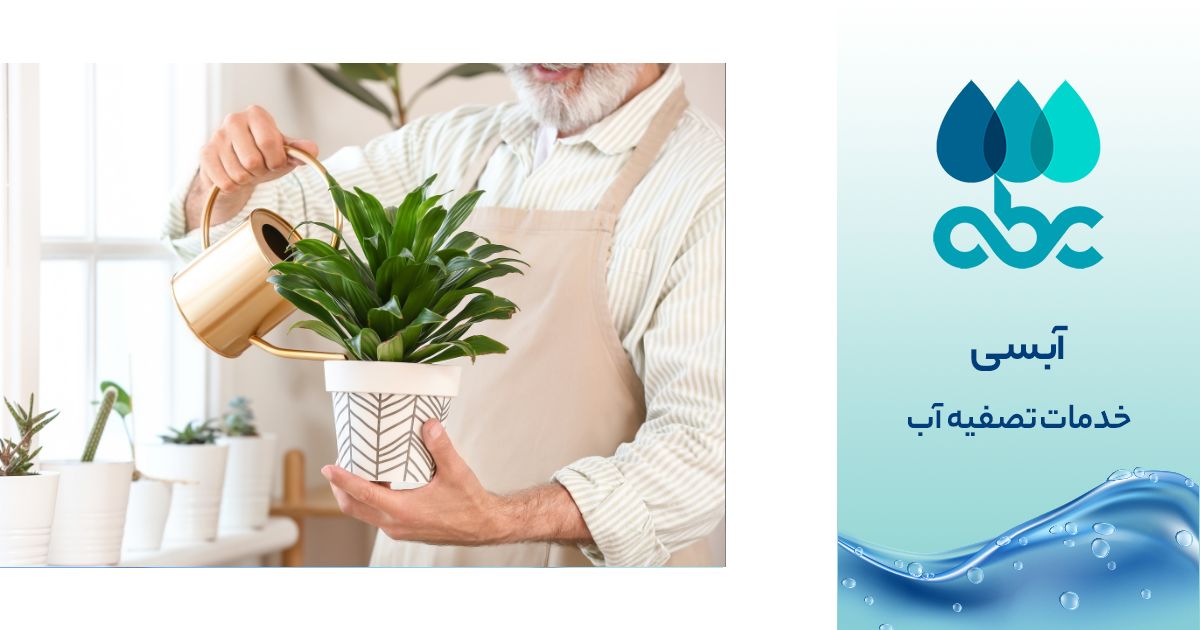 آب تصفیه شده برای گیاهان