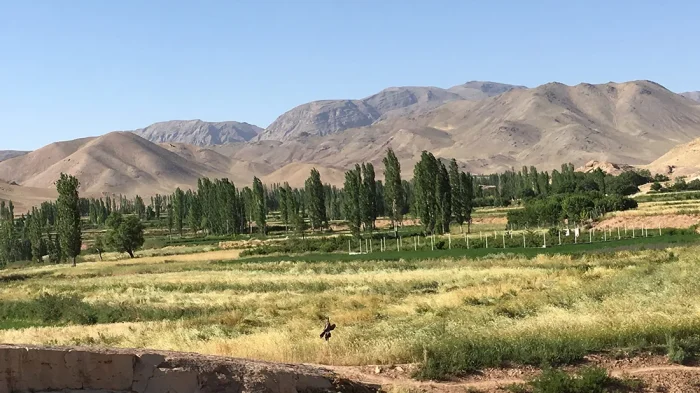 خدمات تصفیه آب در جوشقان