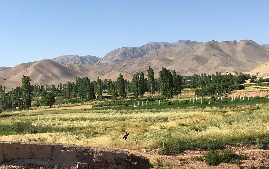 خدمات تصفیه آب در جوشقان
